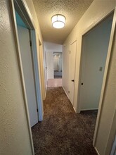 11517 Sandy Loam Trail in Austin, TX - Building Photo - Building Photo