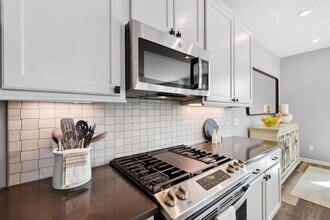 13685 Marsh View Blvd in Rogers, MN - Building Photo - Building Photo