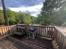 496 Pearl Ln in Blountville, TN - Building Photo