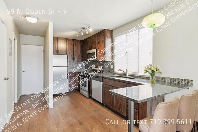 59 N Ogden St in Denver, CO - Building Photo - Building Photo