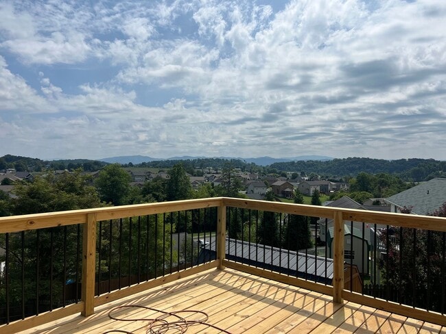 90 Lorena Ln in Jonesborough, TN - Building Photo - Building Photo