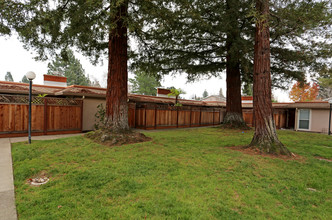 1671 Alvarado Ave in Walnut Creek, CA - Building Photo - Building Photo