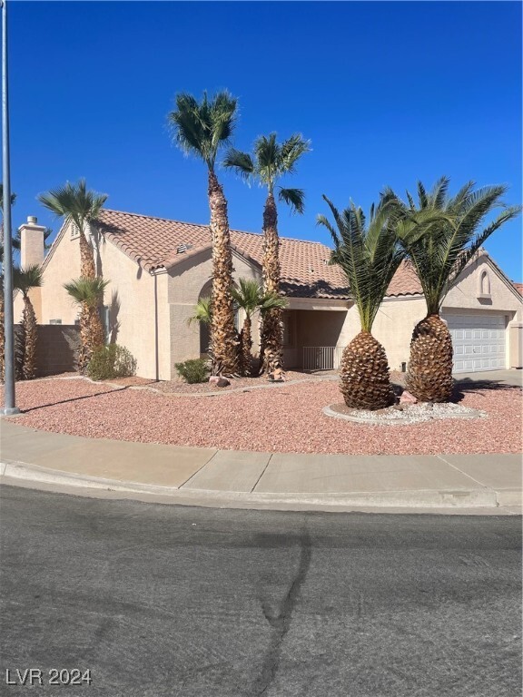 541 Feliz Contado Ct in Henderson, NV - Foto de edificio - Building Photo