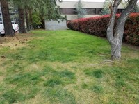 Medford Plaza Apartments in Medford, OR - Foto de edificio - Building Photo