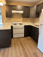 9731 S 90th Ave, Unit 1S in Palos Hills, IL - Building Photo - Building Photo