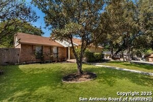 8730 Timber Cloud St