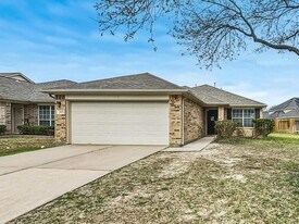 1023 Redcrest Springs Ct in Houston, TX - Building Photo