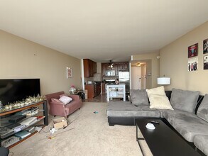 1150 N Lake Shore Dr in Chicago, IL - Building Photo - Building Photo