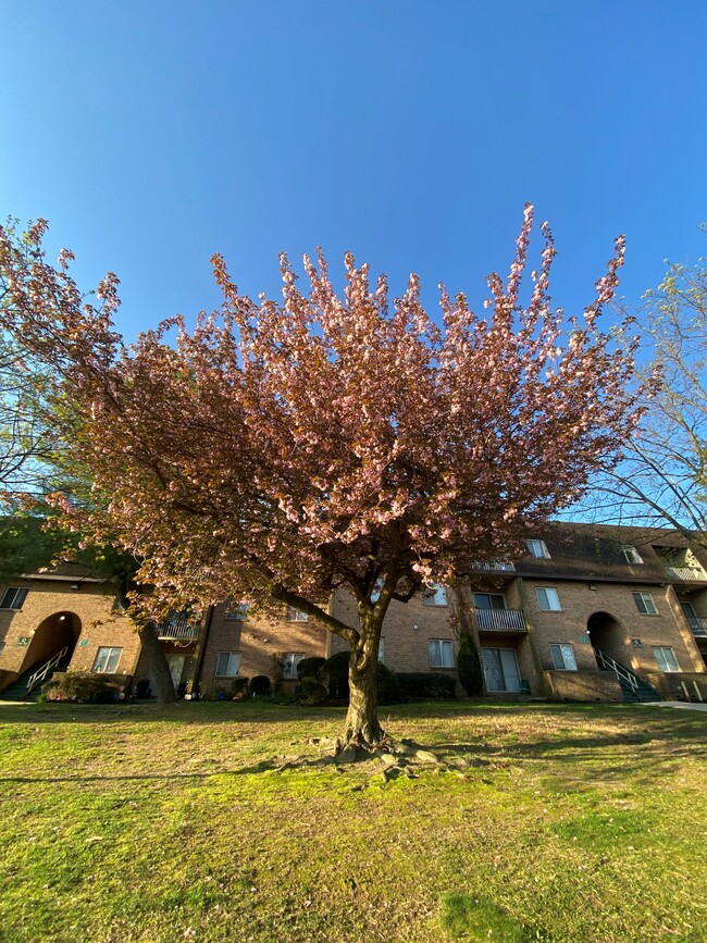 Autumn Ridge Apartments in Blackwood, NJ - Building Photo - Building Photo