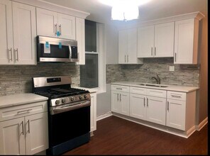1502 W 17th St in Chicago, IL - Building Photo - Building Photo