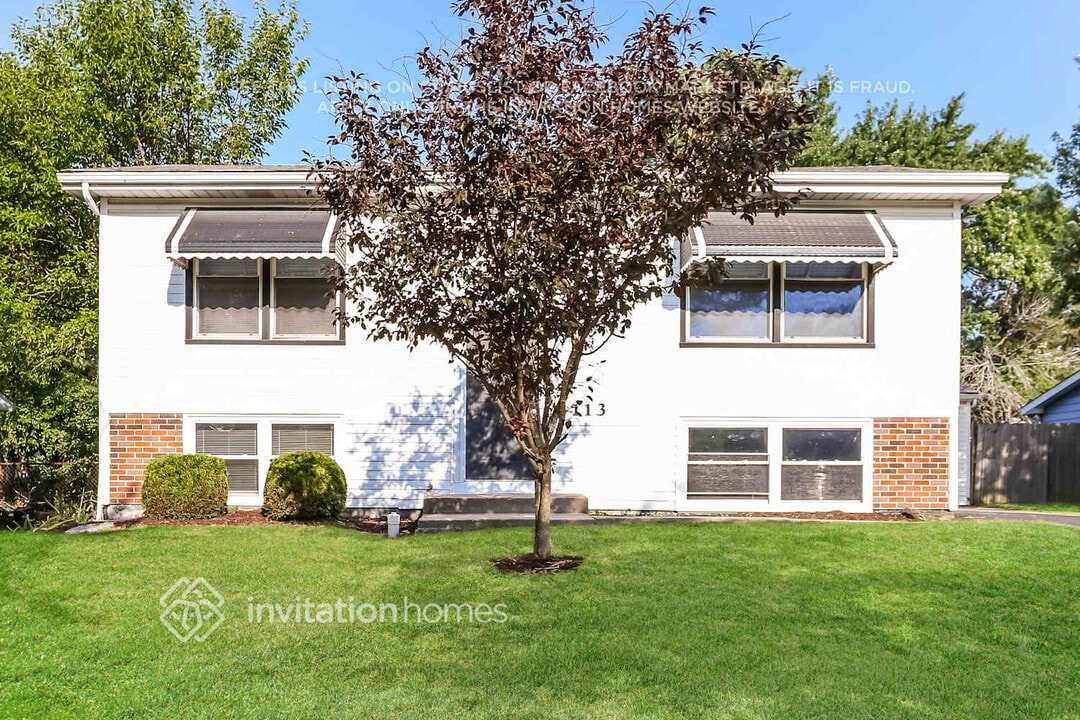 113 Davis Ct in Bolingbrook, IL - Building Photo