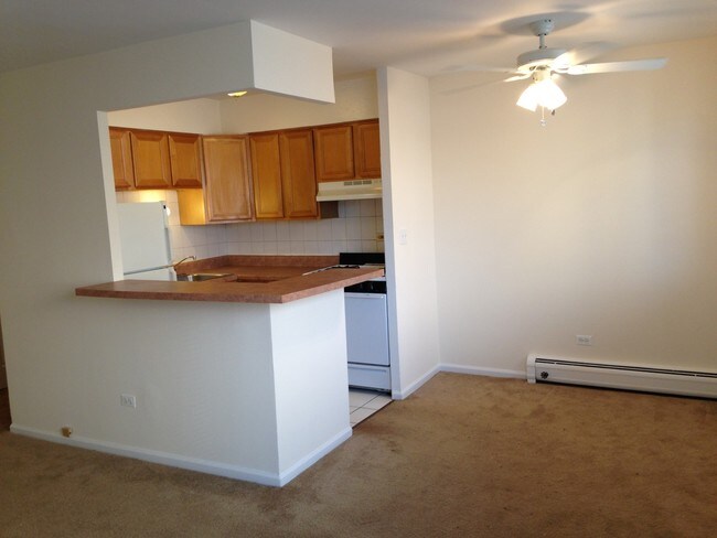 6758 N Sheridan Rd-Unit -330 in Chicago, IL - Building Photo - Building Photo