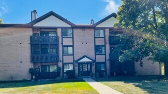 6015 Lakeside Pl in Tinley Park, IL - Building Photo