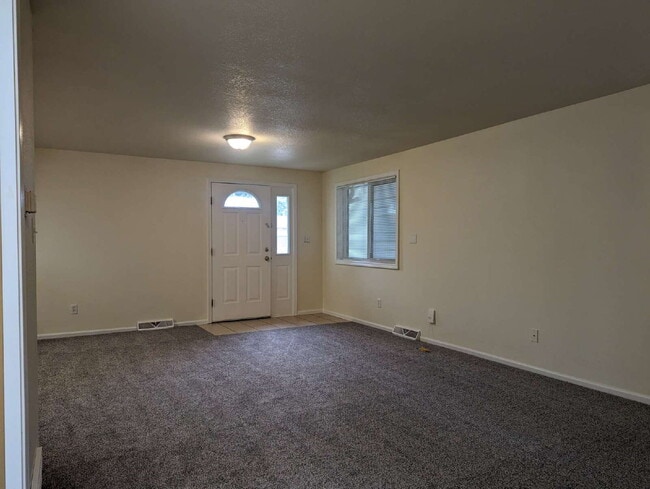 18 Durian Ct in Longmont, CO - Building Photo - Building Photo