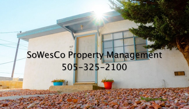 property at 503 N Wall Ave