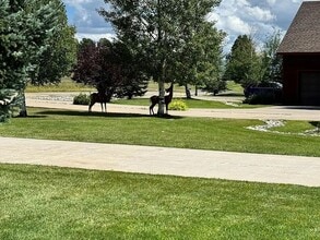 70 Holly Tree Cir in Pagosa Springs, CO - Building Photo - Building Photo