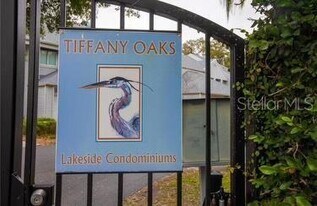 9726 Tiffany Oaks Ln in Tampa, FL - Building Photo