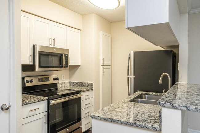 Essex Place Luxury Apartments in Tampa, FL - Foto de edificio - Interior Photo