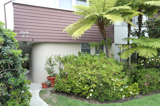 209-211 S Elm Dr in Beverly Hills, CA - Building Photo - Building Photo