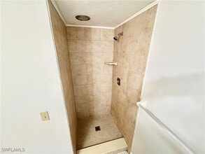 28100 Pine Haven Way in Bonita Springs, FL - Building Photo - Building Photo