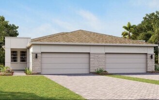 5989 Timberdale Ave in Wesley Chapel, FL - Building Photo