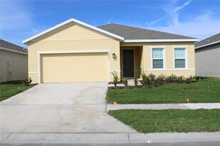 18291 Falling Pine Needle Ln in Land O Lakes, FL - Building Photo