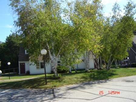 Apple Tree Village in Conway, NH - Building Photo