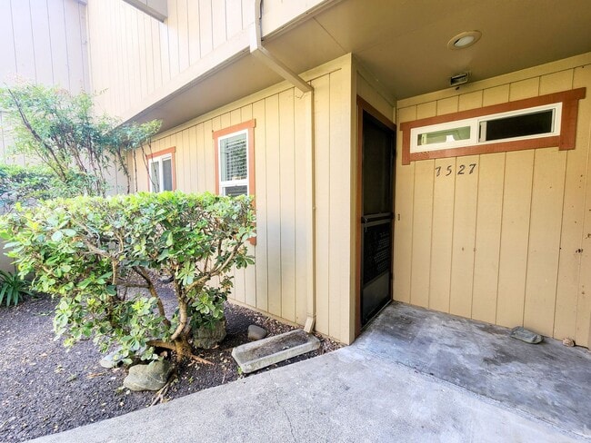 property at 7527 Camino Colegio