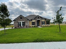 10067 Dolphin Gull Cir in Thonotosassa, FL - Building Photo