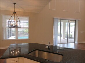11601 Maple Palm Way in Tampa, FL - Foto de edificio - Building Photo