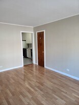 422 Elmwood Ave in Evanston, IL - Building Photo