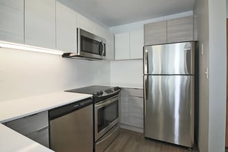 425 E Ohio St in Chicago, IL - Foto de edificio - Building Photo