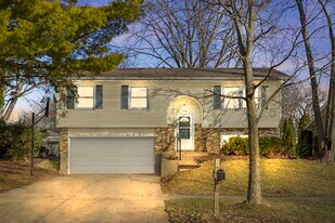 1614 Lucylle Ave in St. Charles, IL - Building Photo