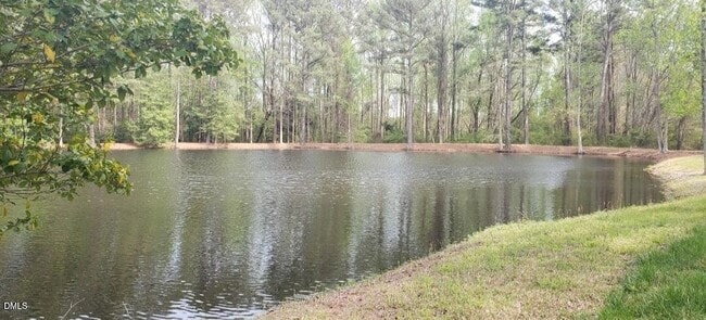 7509 NC-27 in Lillington, NC - Building Photo - Building Photo