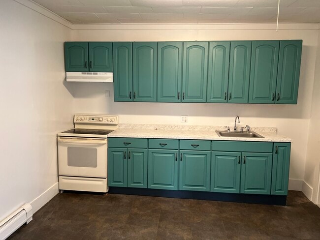 55 Davis St, Unit 1 in Old Town, ME - Building Photo - Building Photo