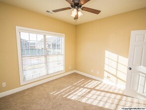 12170 Southern Charm Blvd in Madison, AL - Building Photo - Building Photo