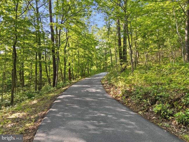 39368 Longhill Ln in Aldie, VA - Building Photo - Building Photo