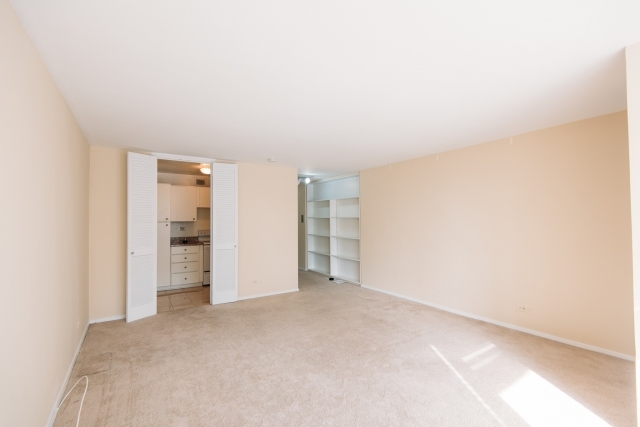 21 W Goethe St, Unit 11 in Chicago, IL - Foto de edificio - Building Photo
