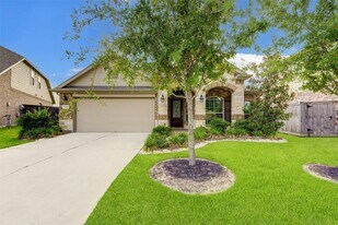 11206 Leila Park Ct in Cypress, TX - Building Photo