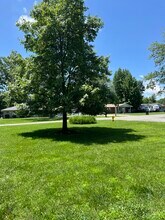 10 Homestead Dr in Mount Vernon, IL - Building Photo - Building Photo
