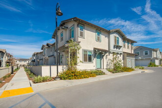 4252 S Hibiscus Paseo in Ontario, CA - Building Photo - Building Photo