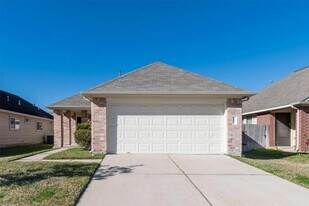 6007 Durango Mist Ln in Katy, TX - Building Photo