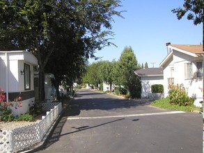 Sutter Street Mobile Home Park in Yuba City, CA - Building Photo - Building Photo