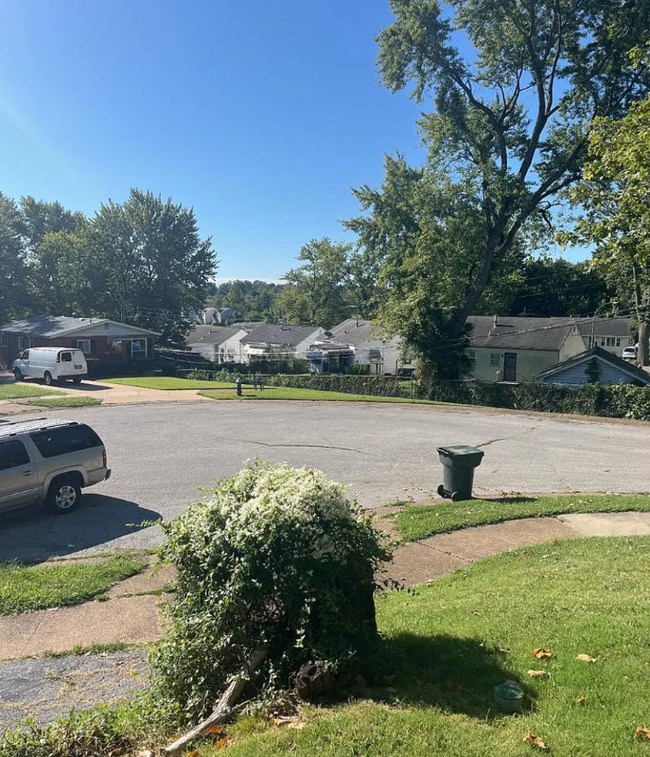 1227 Peggy Ct in St. Louis, MO - Building Photo - Building Photo