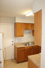 1641 Lucy Terry Ave in Apopka, FL - Building Photo - Building Photo