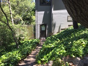58 Roble Rd, Unit Detached Cottage in Berkeley, CA - Building Photo - Building Photo
