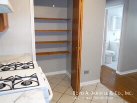 8700 S Merrill Ave in Chicago, IL - Building Photo