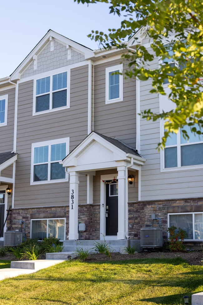 3831 Currant Ln in Elgin, IL - Building Photo - Building Photo