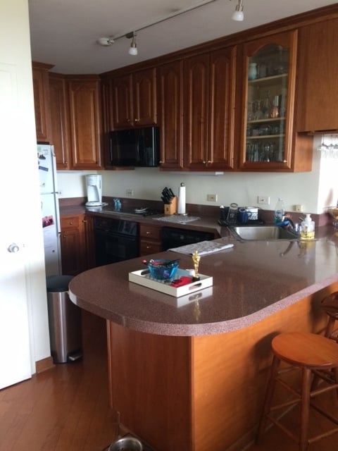 1550 N Lake Shore Dr, Unit 10E in Chicago, IL - Building Photo - Building Photo