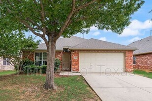 2356 Evening Song Dr in Little Elm, TX - Building Photo